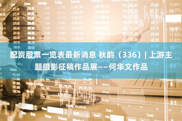 配资股票一览表最新消息 秋韵（336）| 上游主题摄影征稿作品展——何华文作品